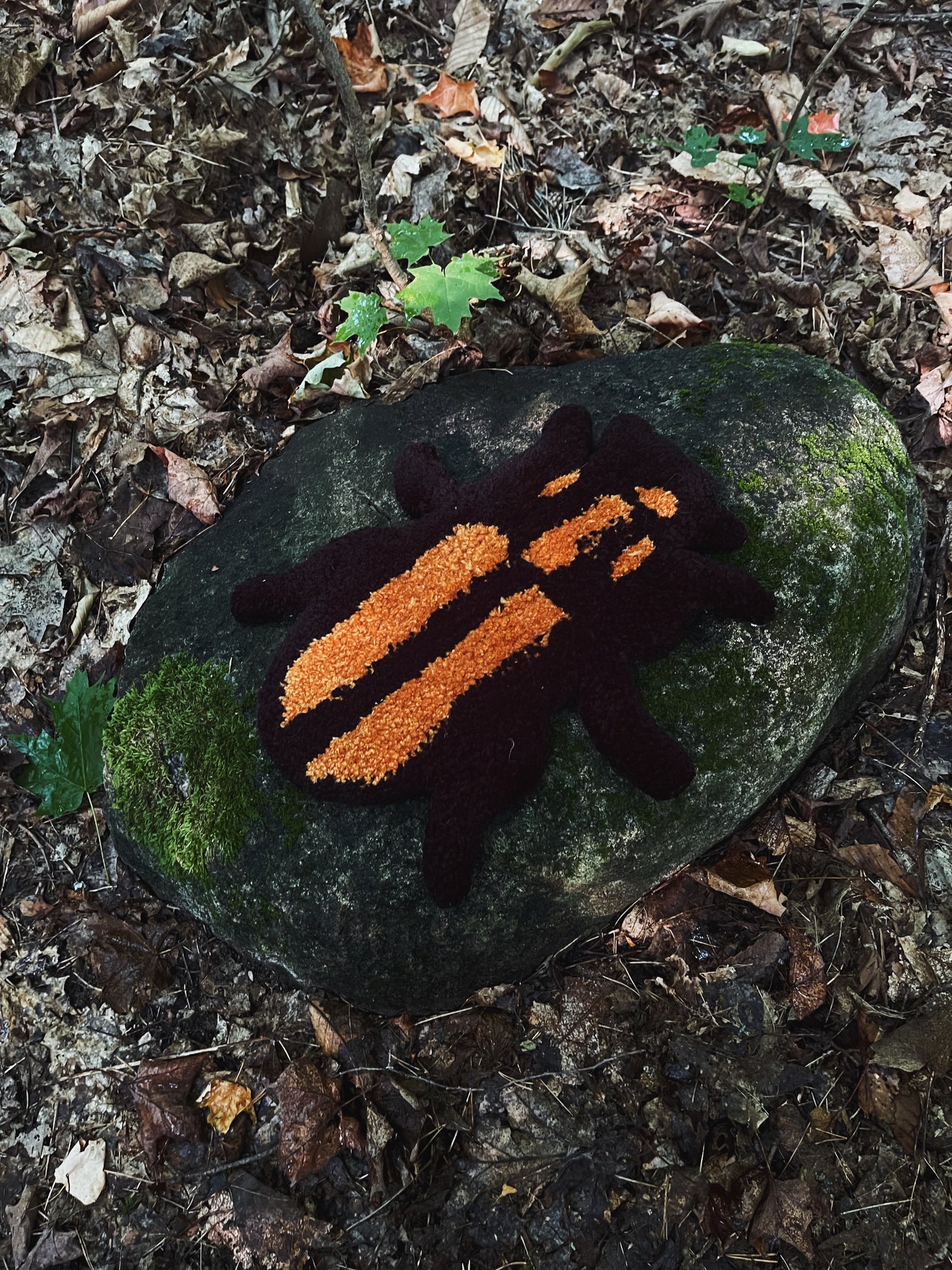 Black Beetle Rug